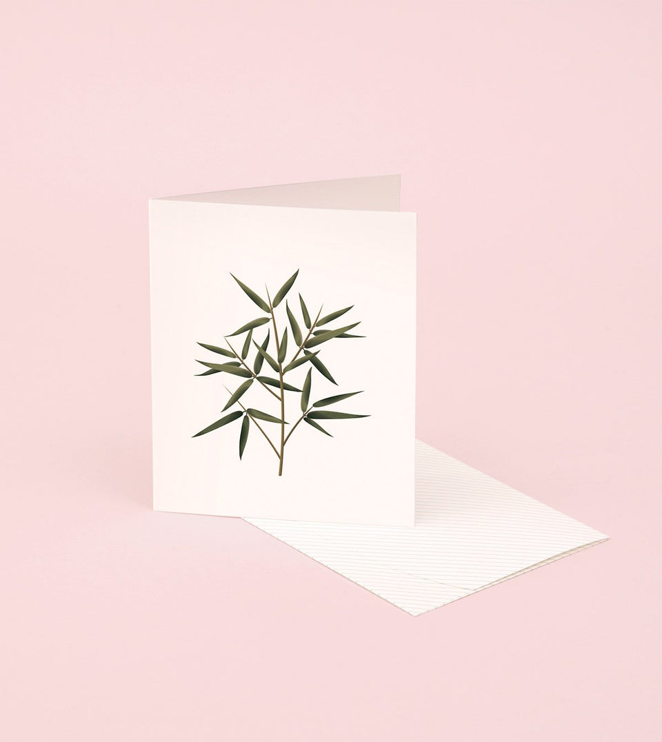 Botanical Scented Card - Bamboo - SG04 - Clap Clap