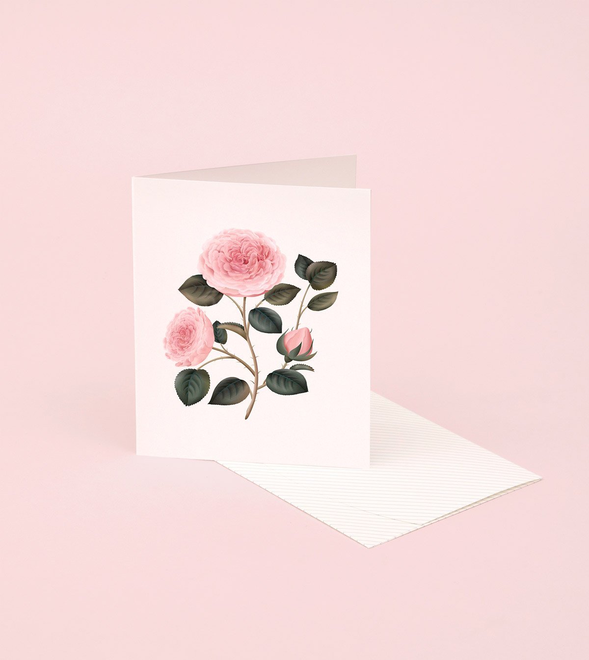 Botanical Scented Card - Bulgarian Rose - SG21 - Clap Clap