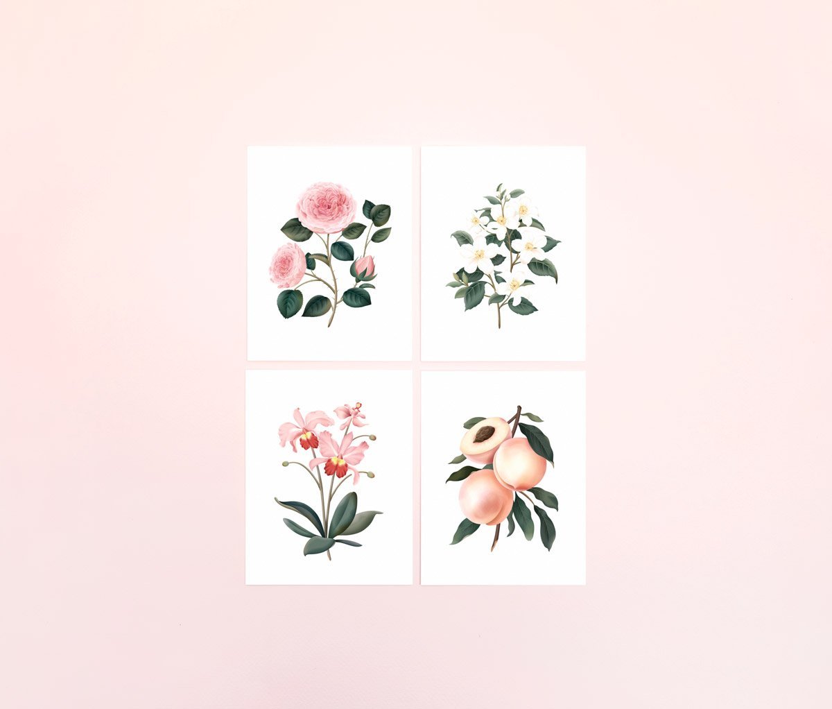 Botanical Scented Card - Bulgarian Rose - SG21 - Clap Clap
