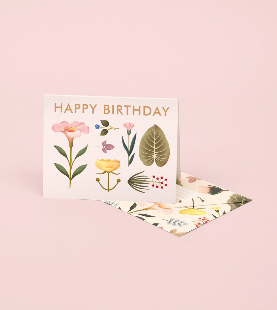 Botanical Specimen Birthday Card - Cream - GB24 - Clap Clap
