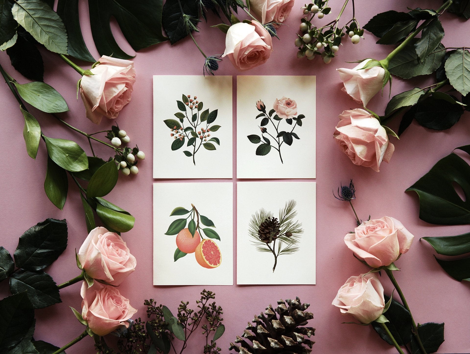 Botanical Scented Card - Grapefruit - SG08 - Clap Clap