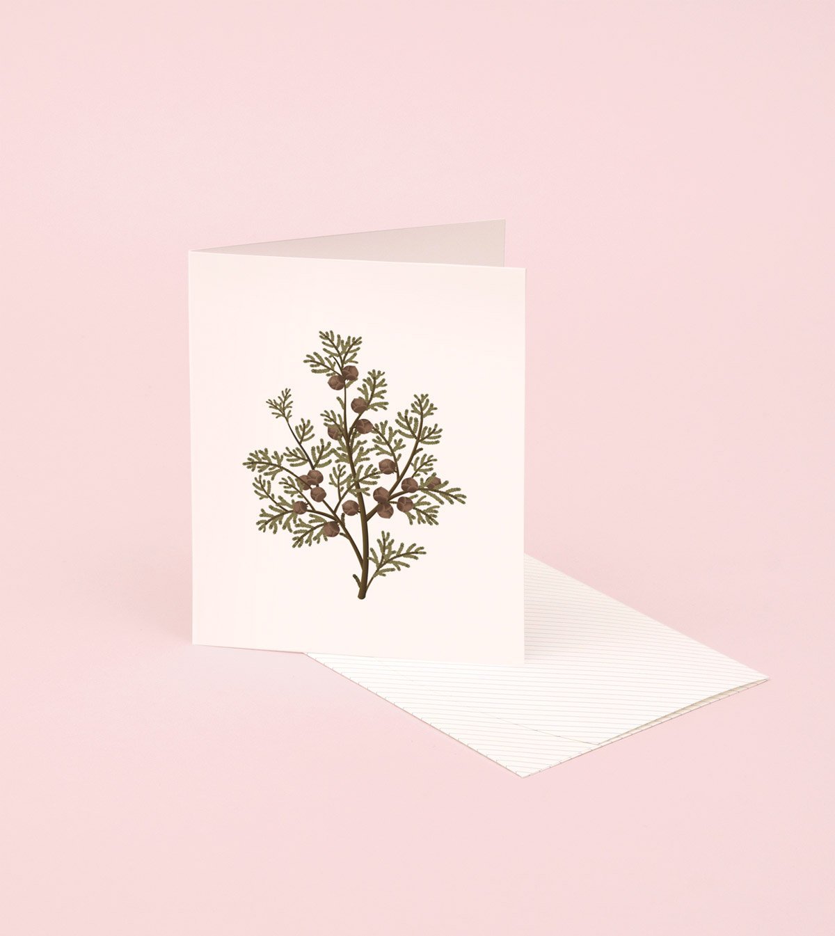 Botanical Scented Card - Hinoki - SG01 - Clap Clap