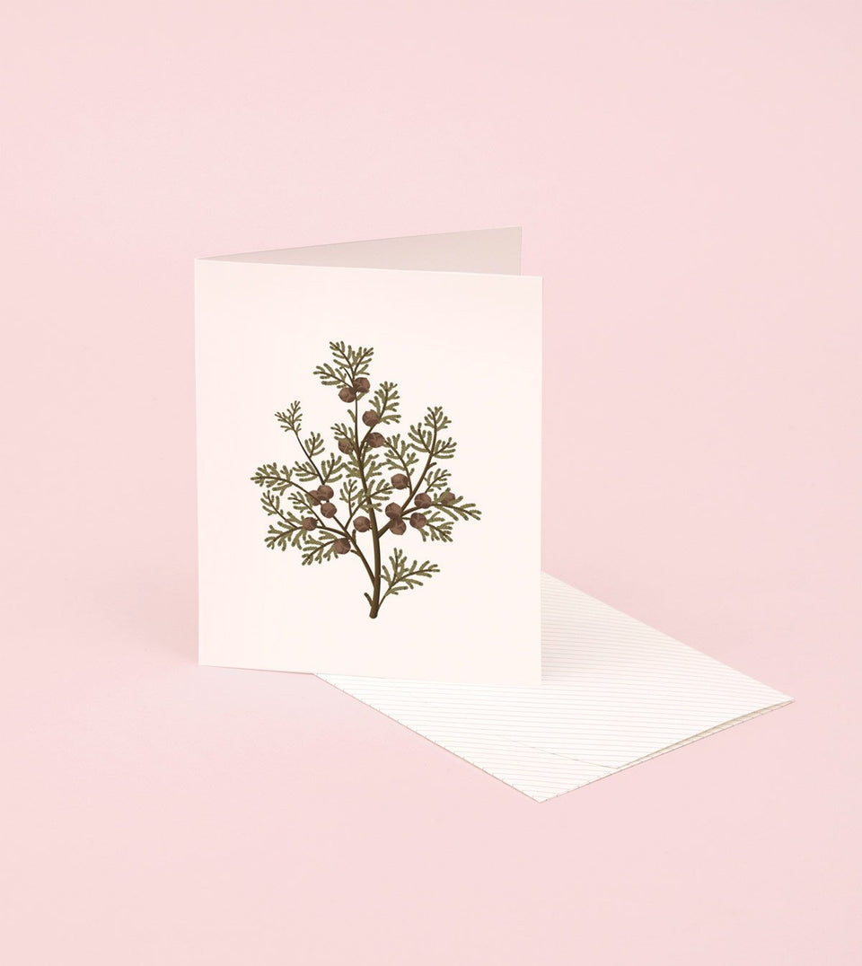 Botanical Scented Card - Hinoki - SG01 - Clap Clap