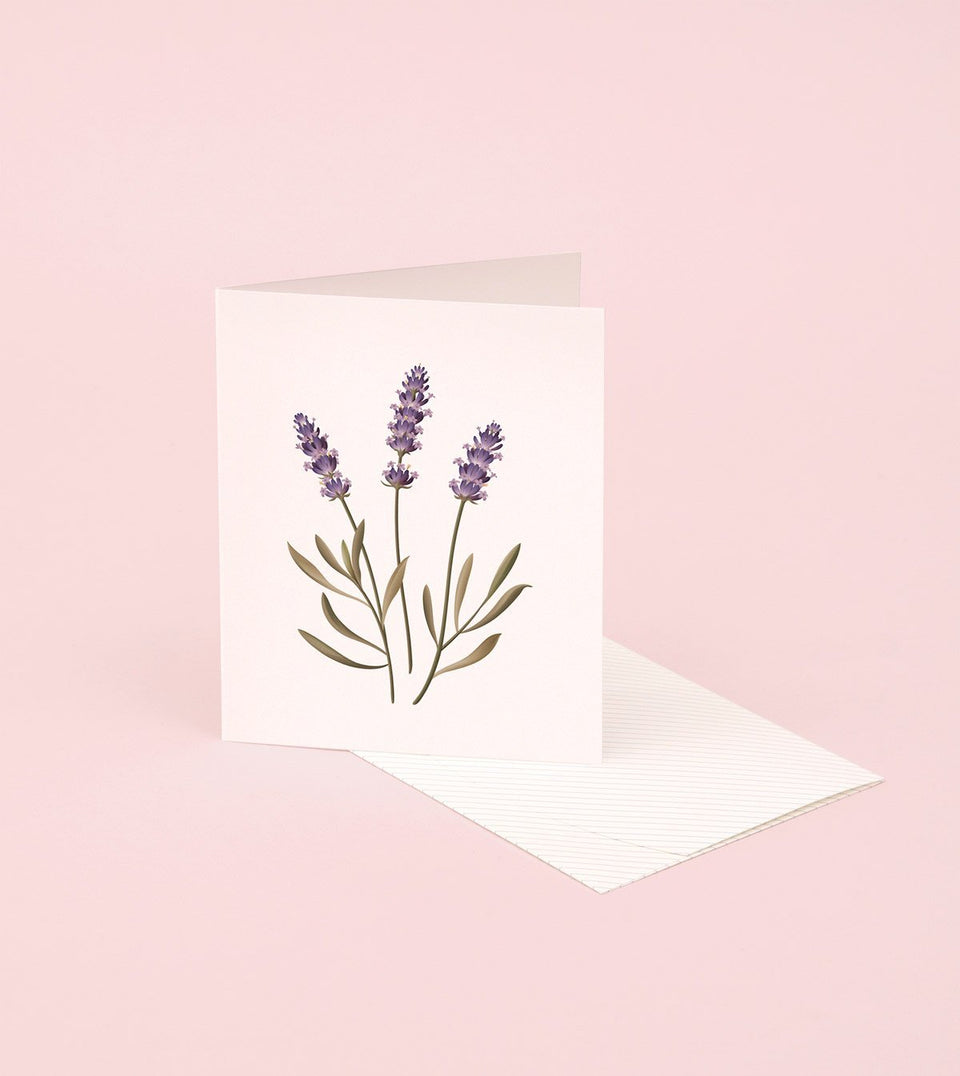 Botanical Scented Card - Lavender - SG10 - Clap Clap