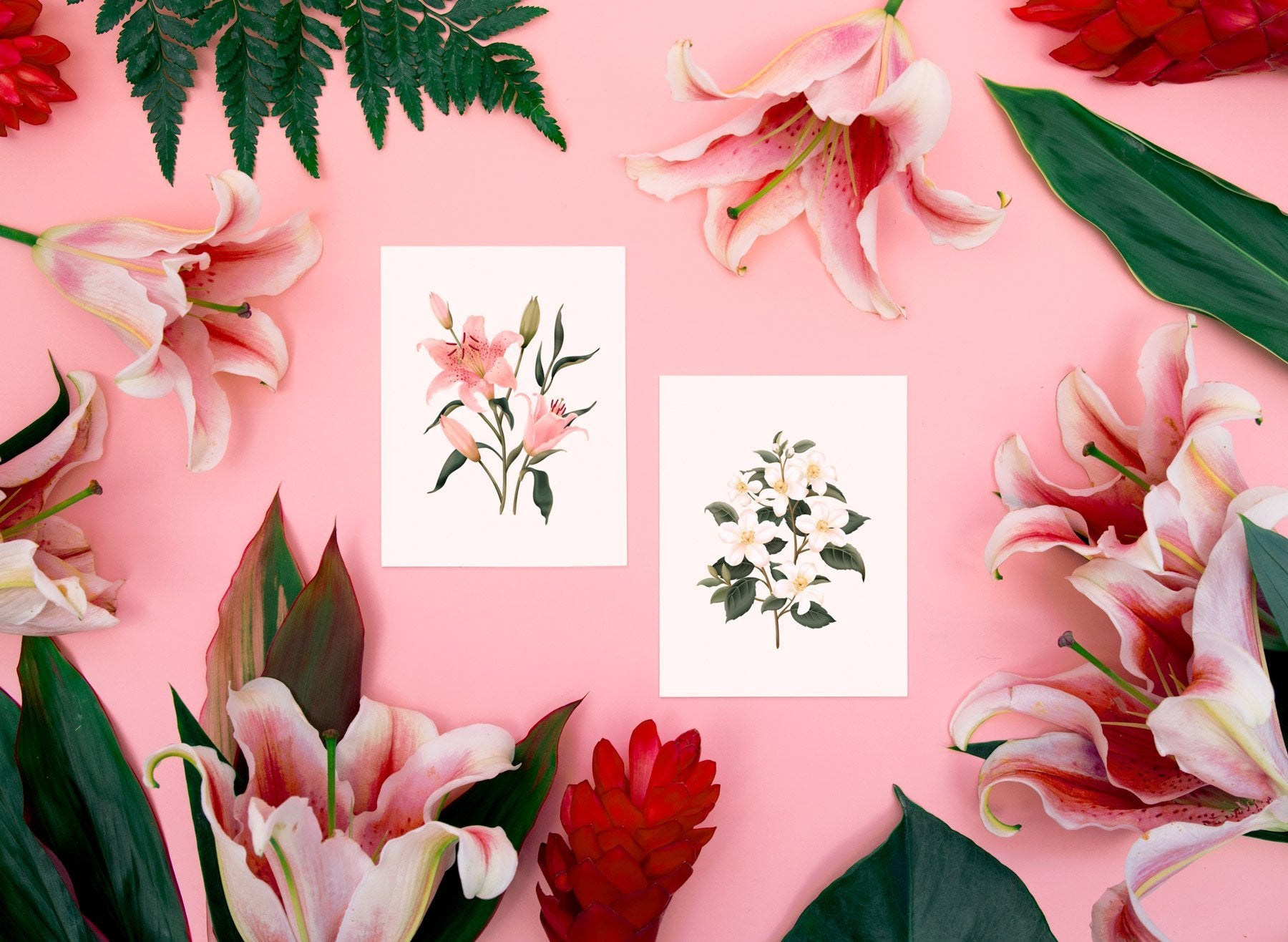 Botanical Scented Card - Oriental Lily - SG17 - Clap Clap