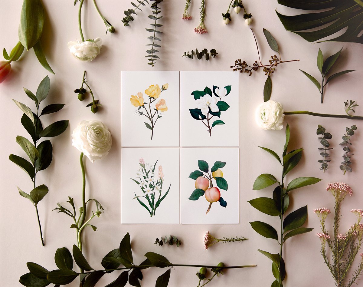 Botanical Scented Card - Plum - SG12 - Clap Clap