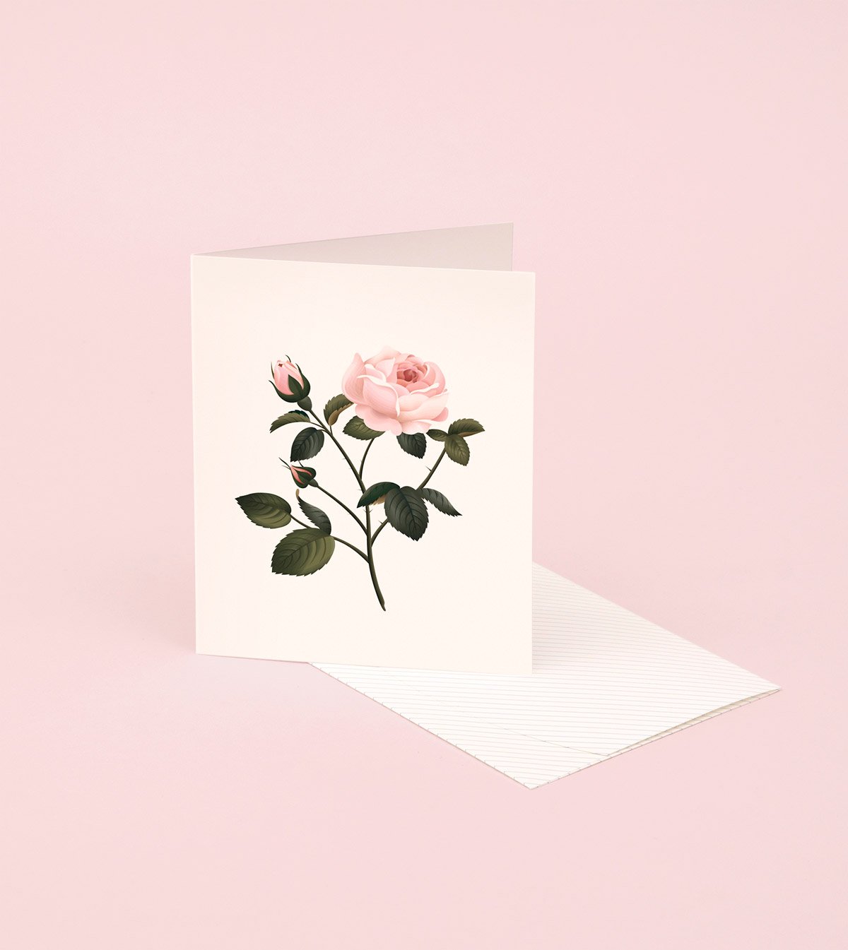 Botanical Scented Card - Rose - SG06 - Clap Clap
