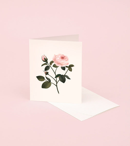 Botanical Scented Card - Rose - SG06 - Clap Clap