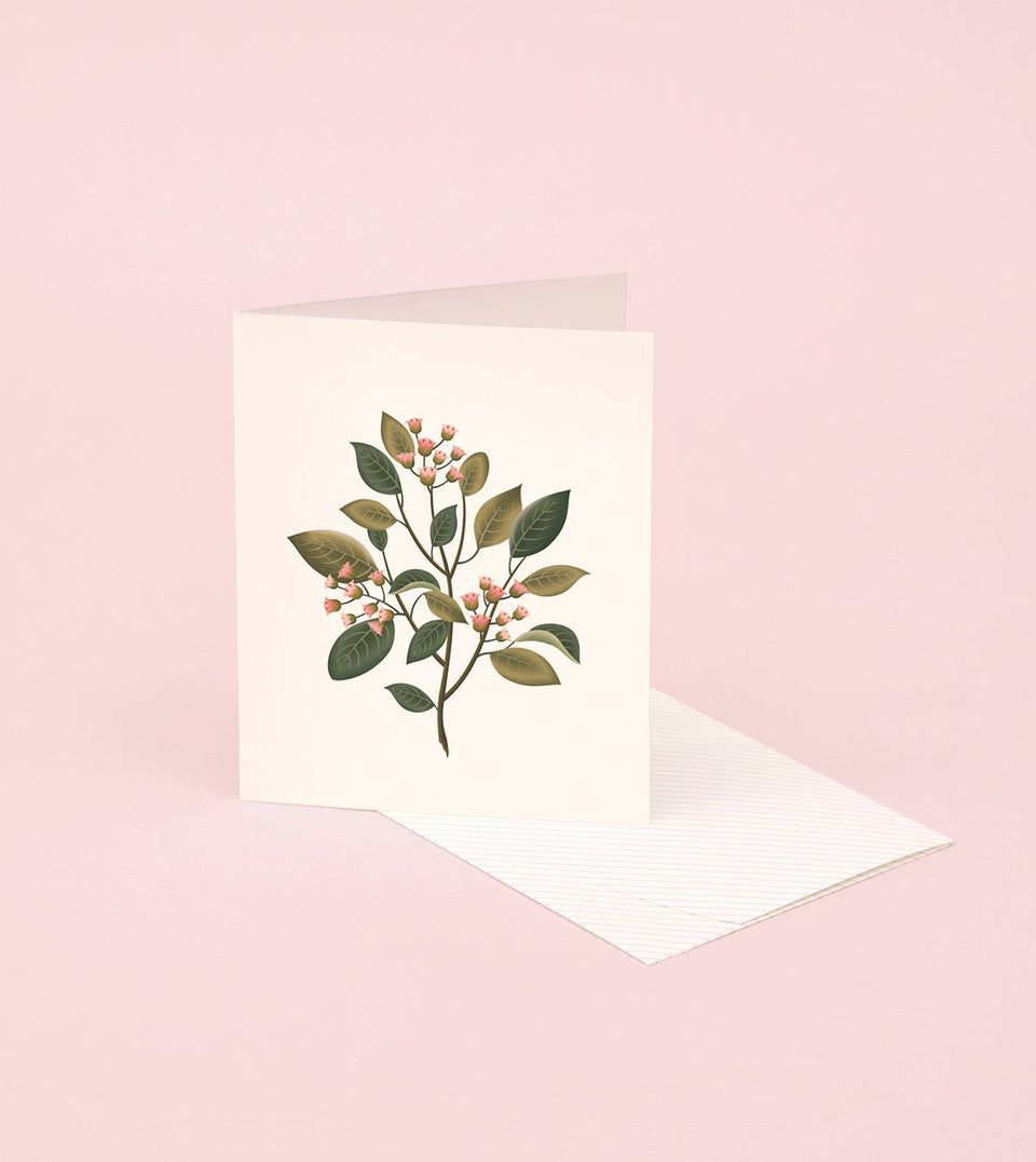 Botanical Scented Card - Sandalwood - SG05 - Clap Clap