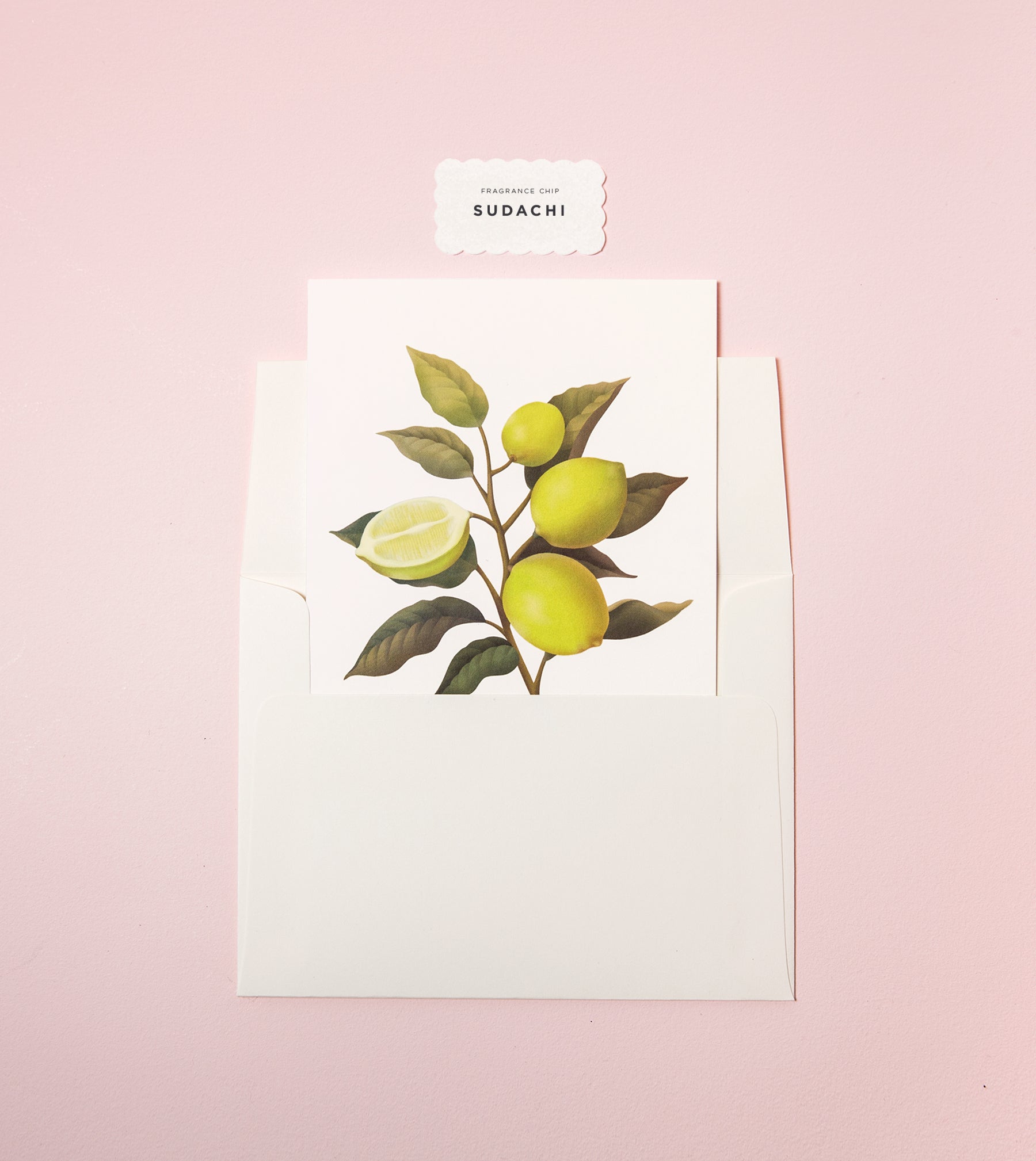 Botanical Scented Greeting Card - Sudachi - SG26 - Clap Clap